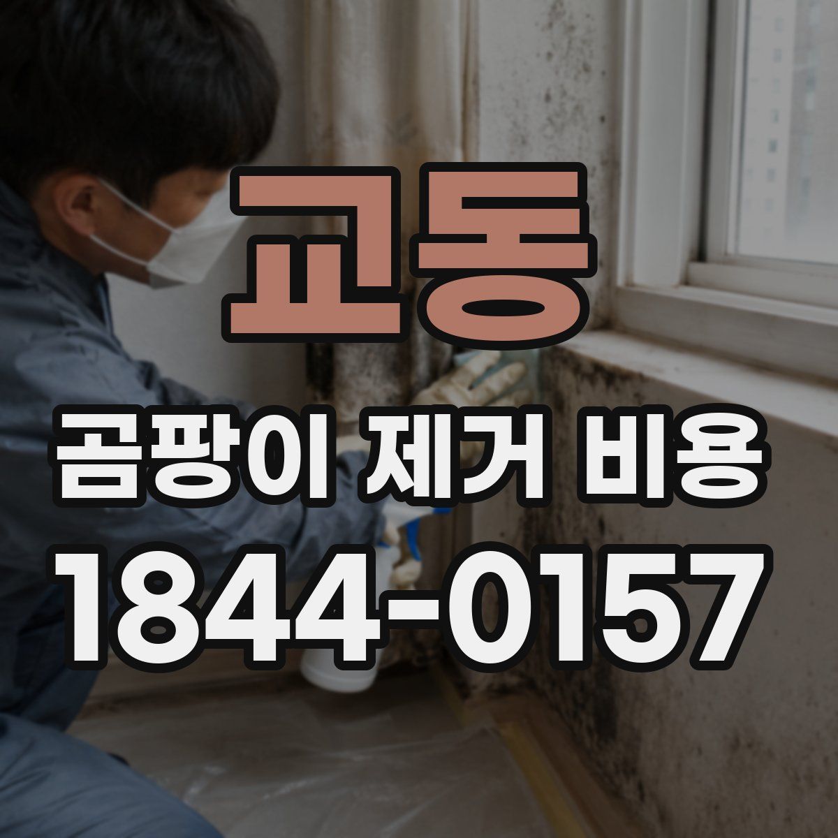 교동 곰팡이 제거 비용