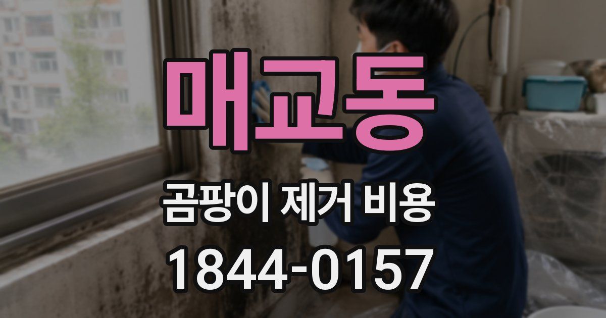 매교동 곰팡이 제거 비용