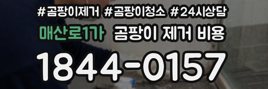 매산로1가 곰팡이 제거 비용