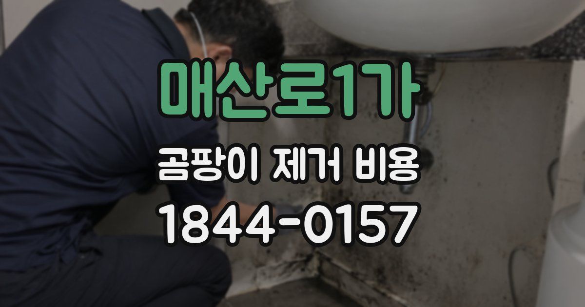 매산로1가 곰팡이 제거 비용
