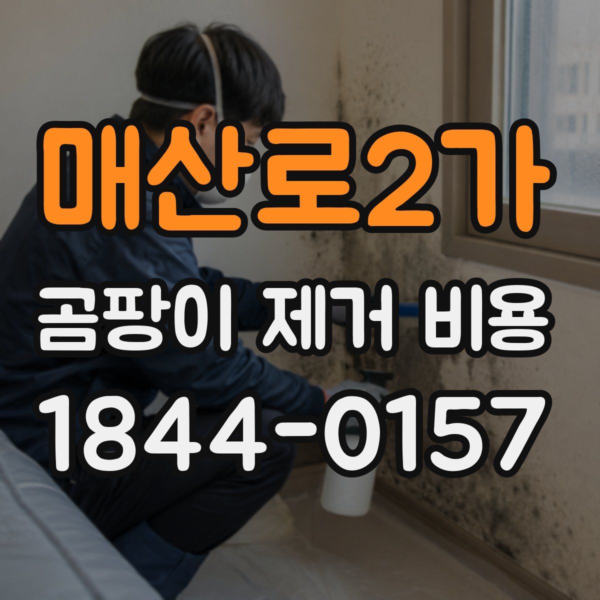매산로2가 곰팡이 제거 비용