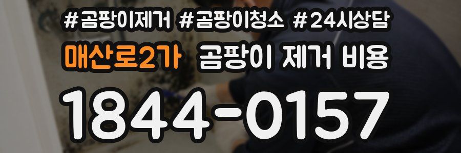 매산로2가 곰팡이 제거 비용
