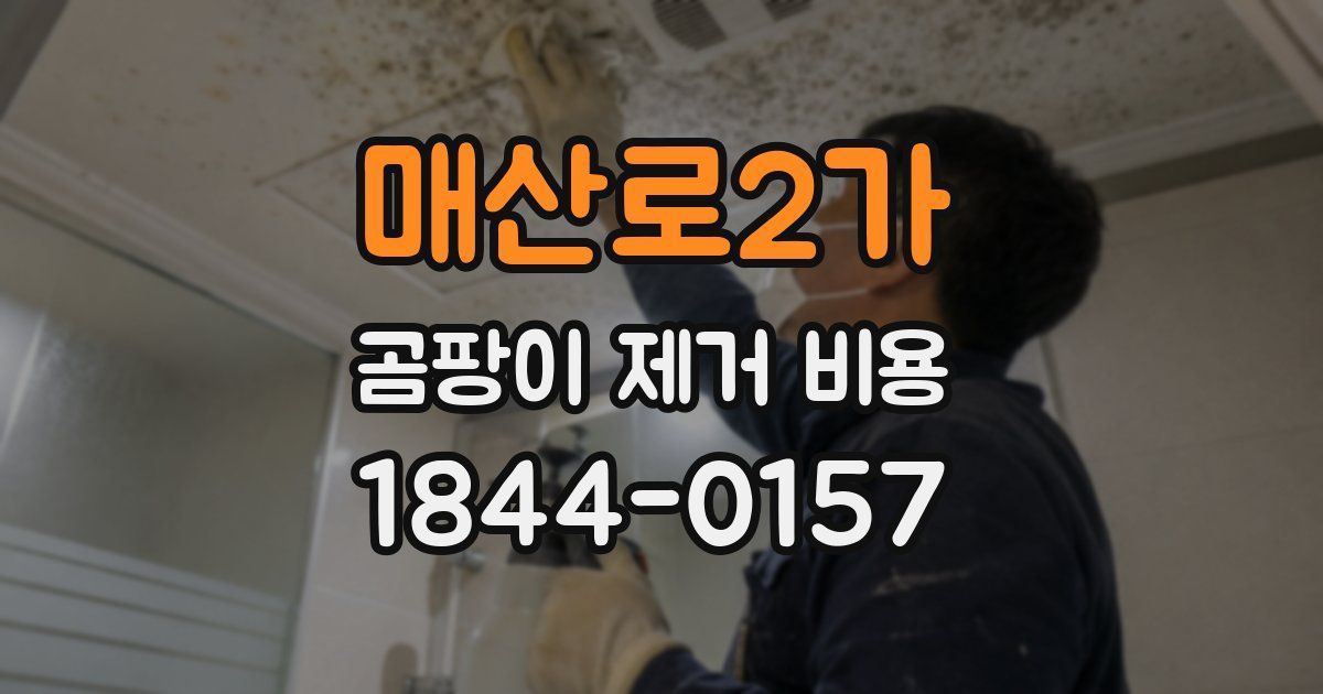 매산로2가 곰팡이 제거 비용