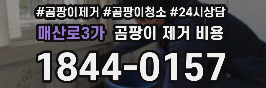 매산로3가 곰팡이 제거 비용