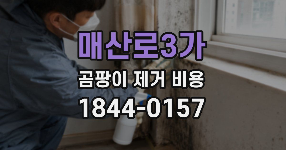 매산로3가 곰팡이 제거 비용