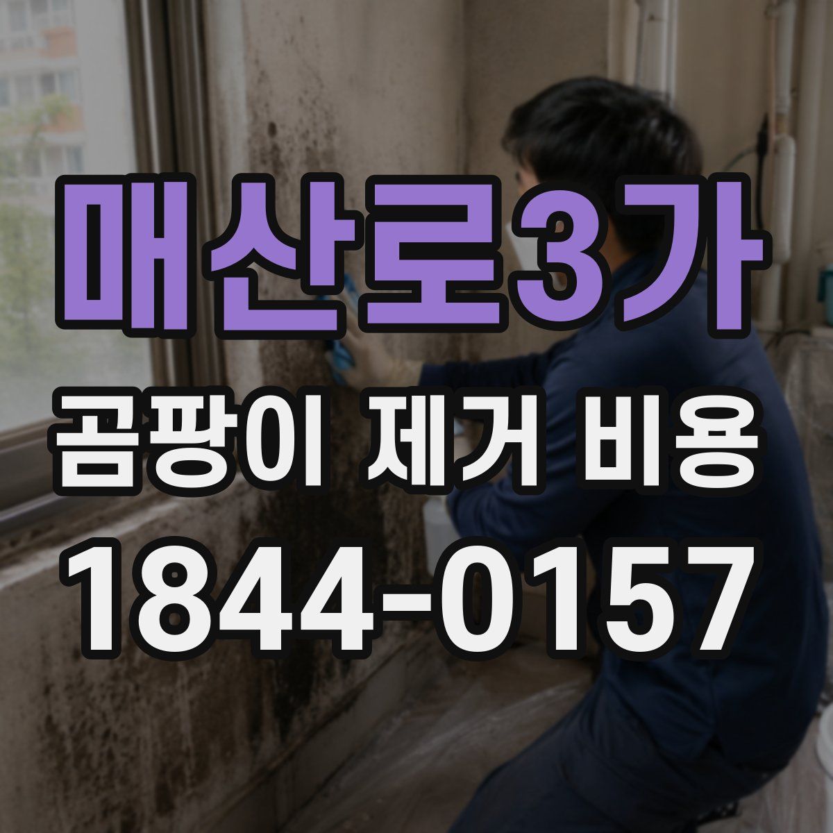 매산로3가 곰팡이 제거 비용