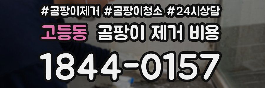고등동 곰팡이 제거 비용