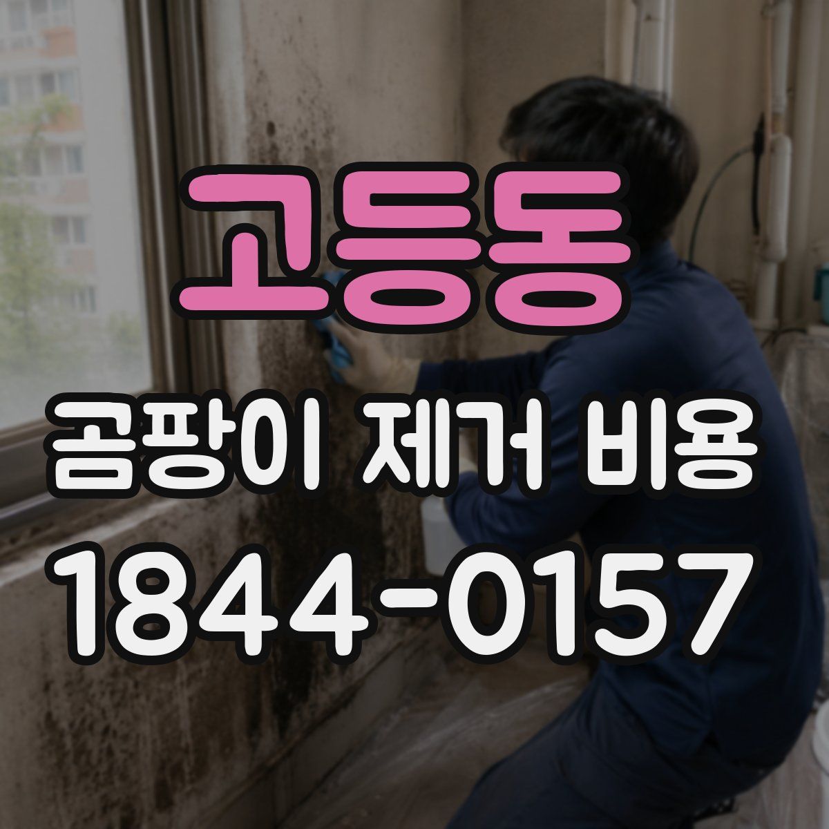 고등동 곰팡이 제거 비용