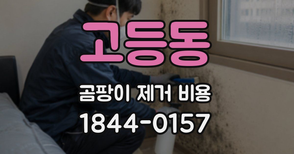 고등동 곰팡이 제거 비용
