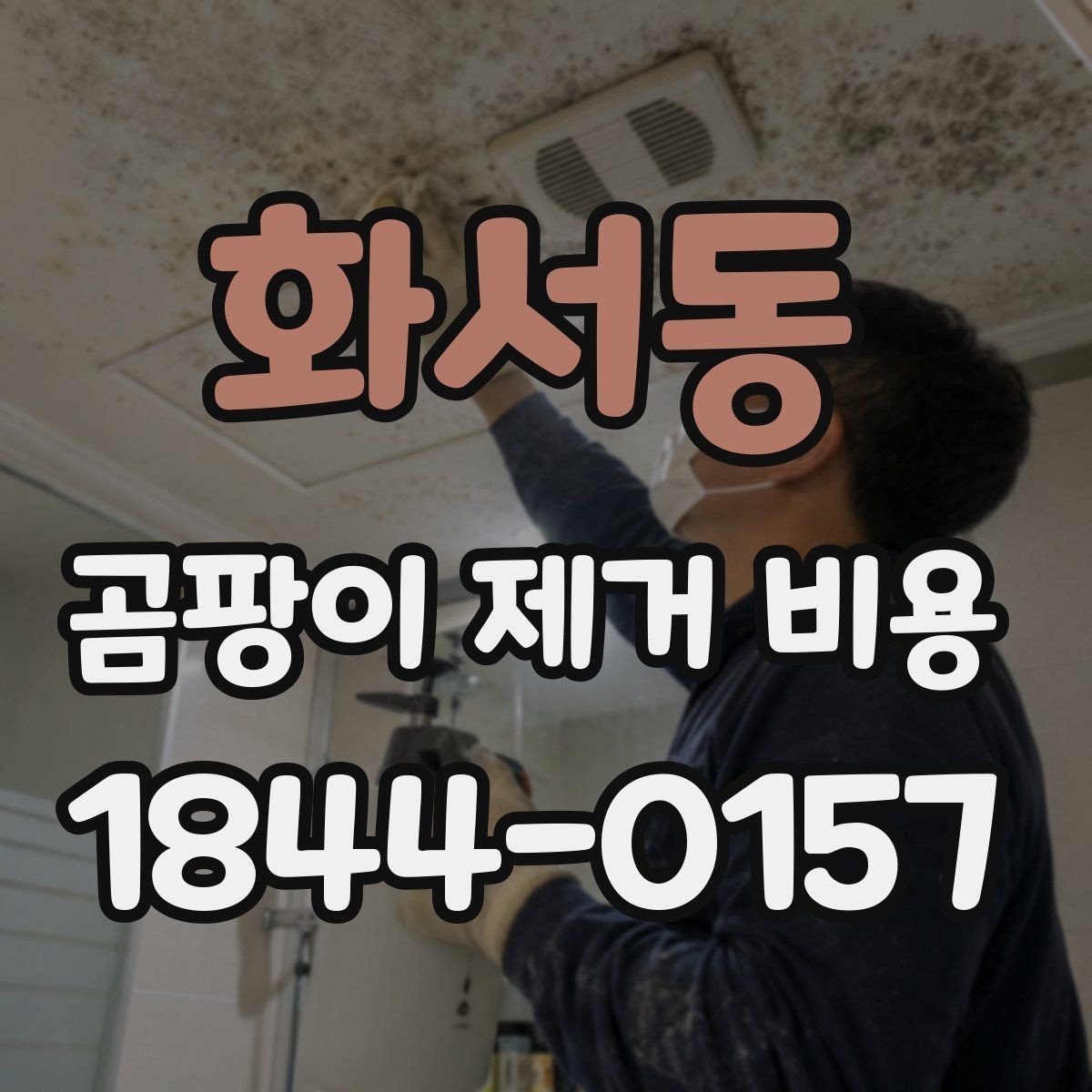 화서동 곰팡이 제거 비용 욕실과 거실은 처리 기준이 왜 다를까