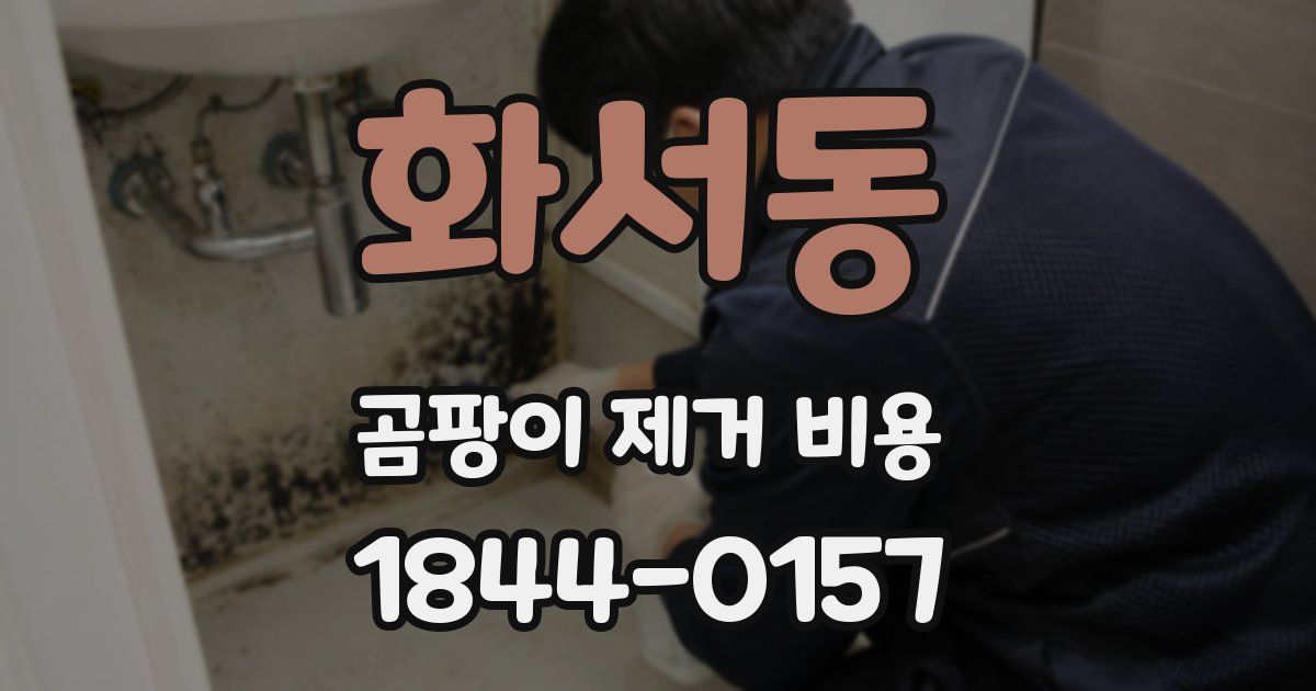 화서동 곰팡이 제거 비용