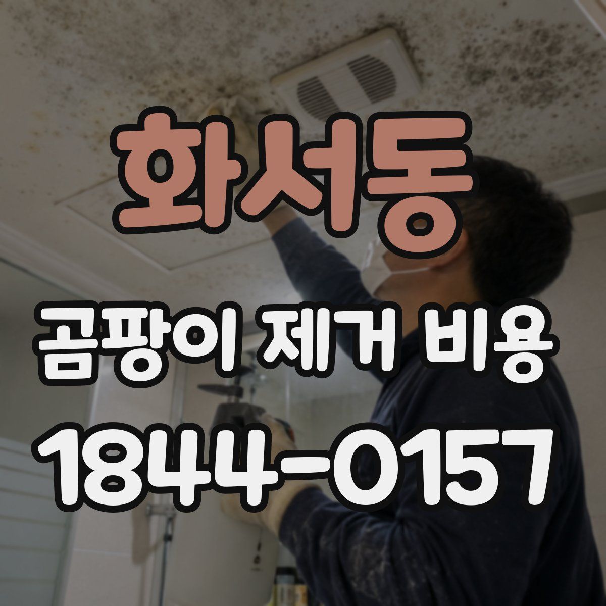 화서동 곰팡이 제거 비용