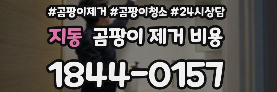 지동 곰팡이 제거 비용