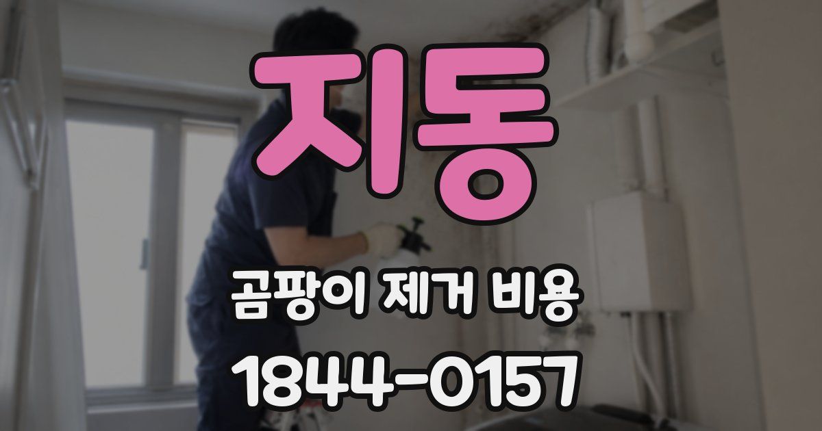 지동 곰팡이 제거 비용