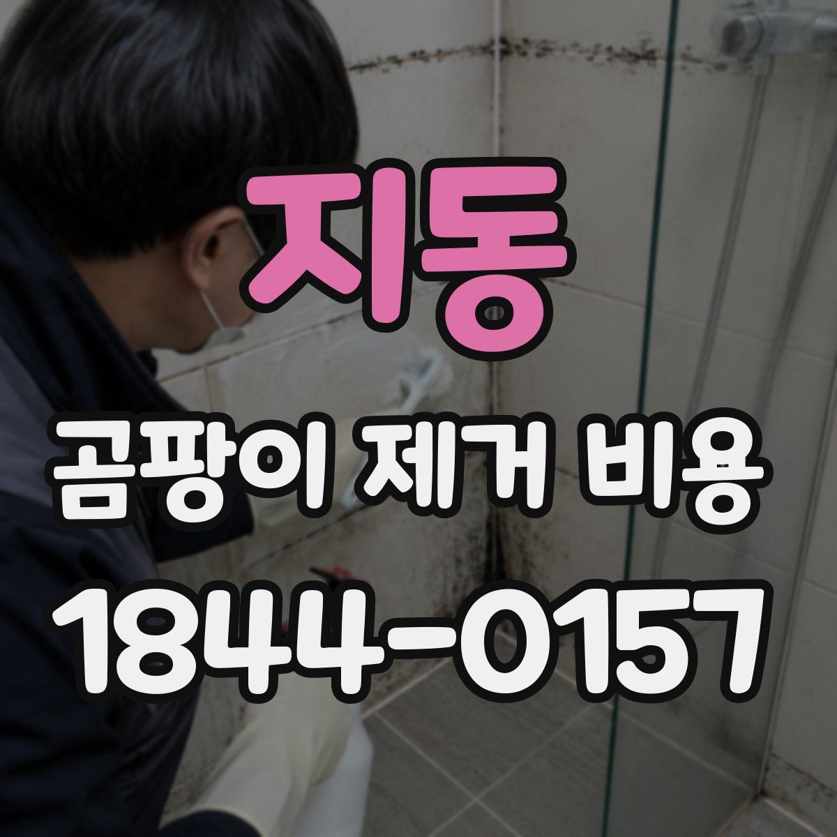 지동 곰팡이 제거 비용
