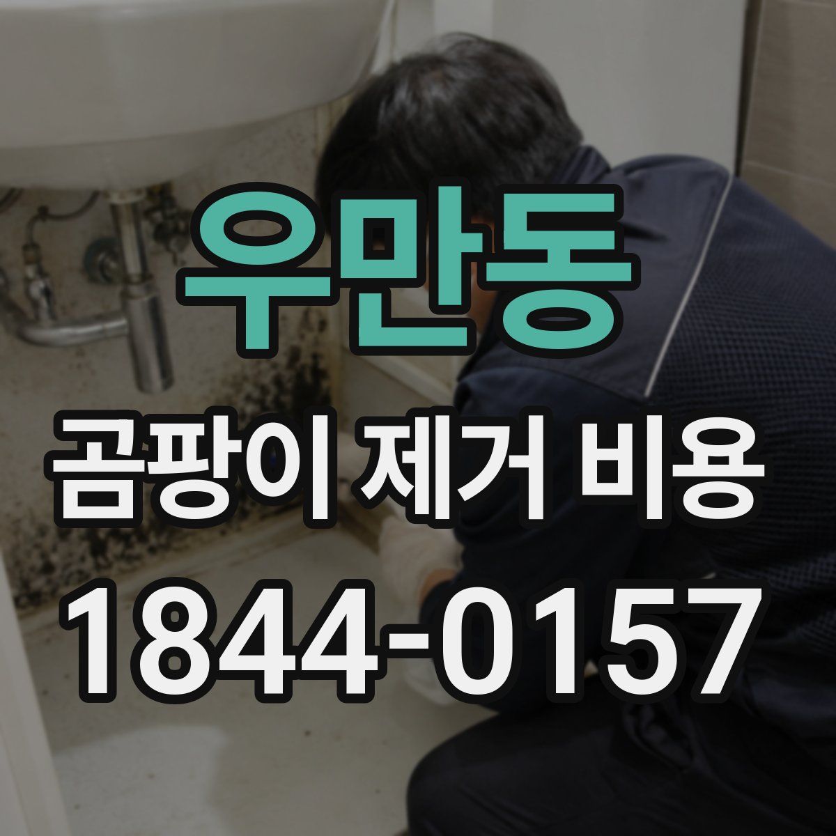 우만동 곰팡이 제거 비용