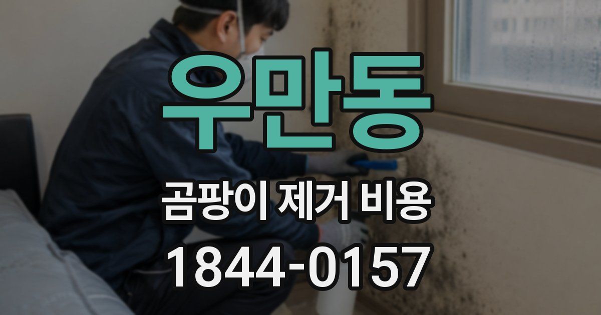 우만동 곰팡이 제거 비용