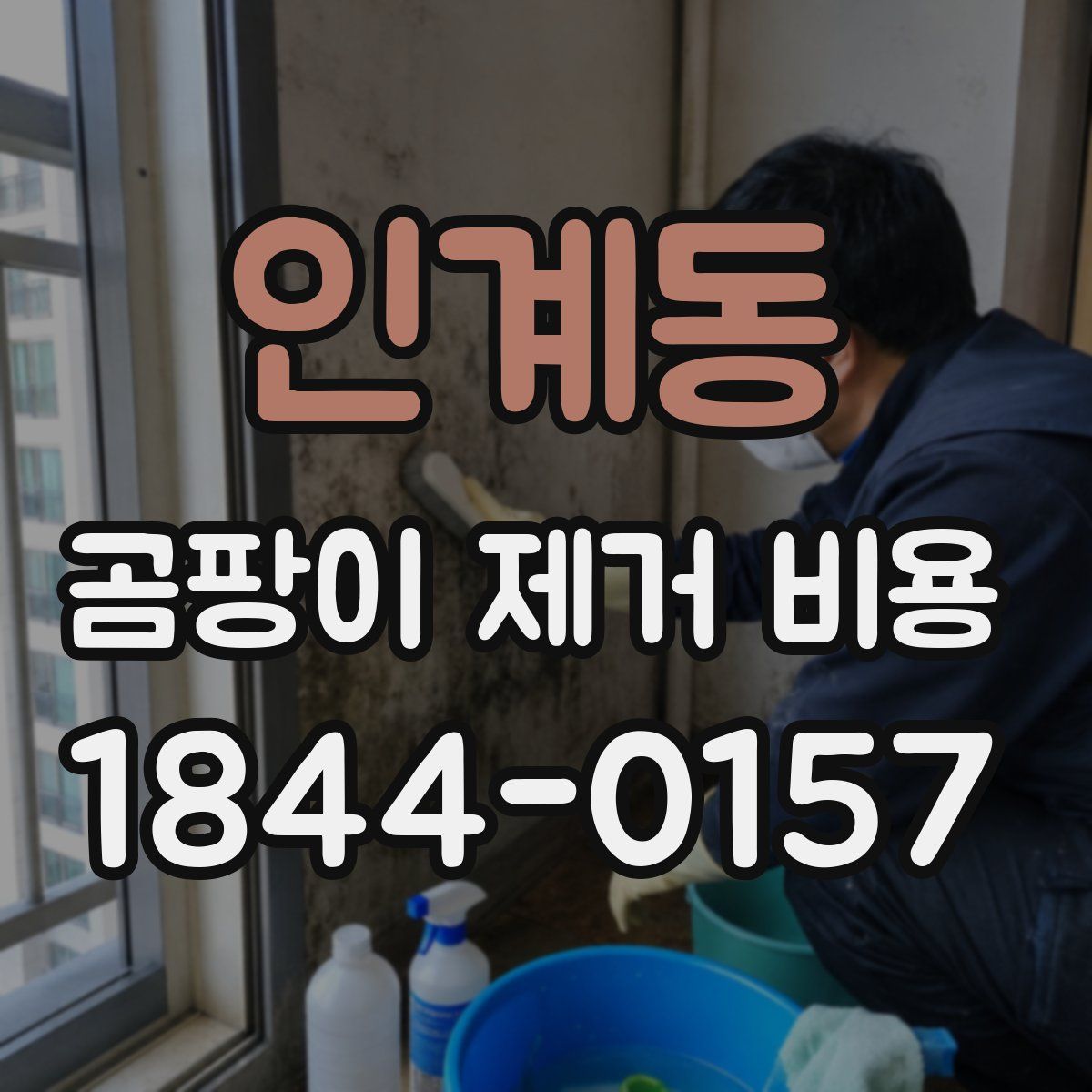 인계동 곰팡이 제거 비용