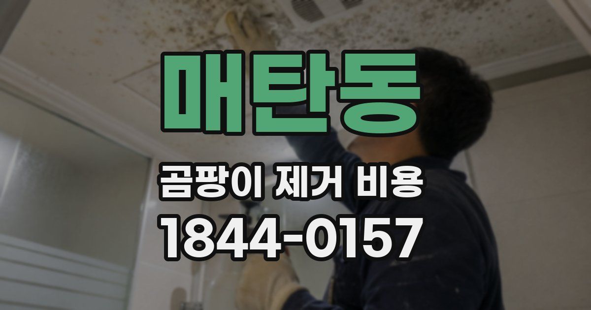 매탄동 곰팡이 제거 비용