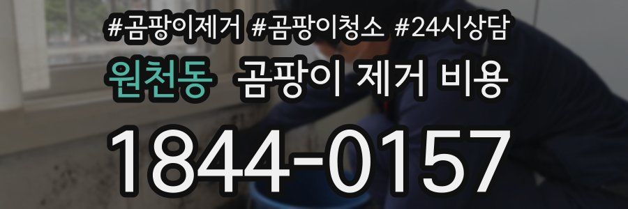 원천동 곰팡이 제거 비용