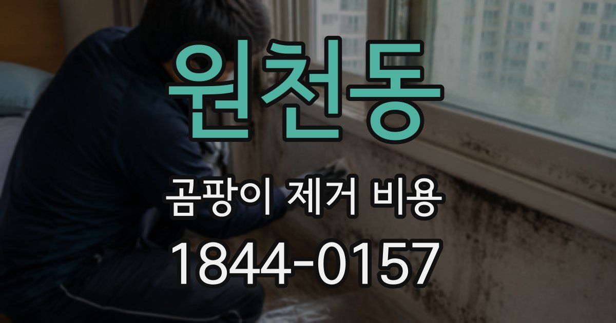 원천동 곰팡이 제거 비용