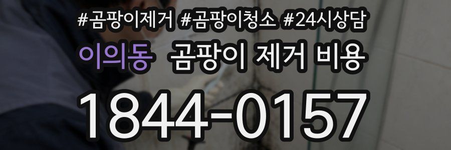 이의동 곰팡이 제거 비용