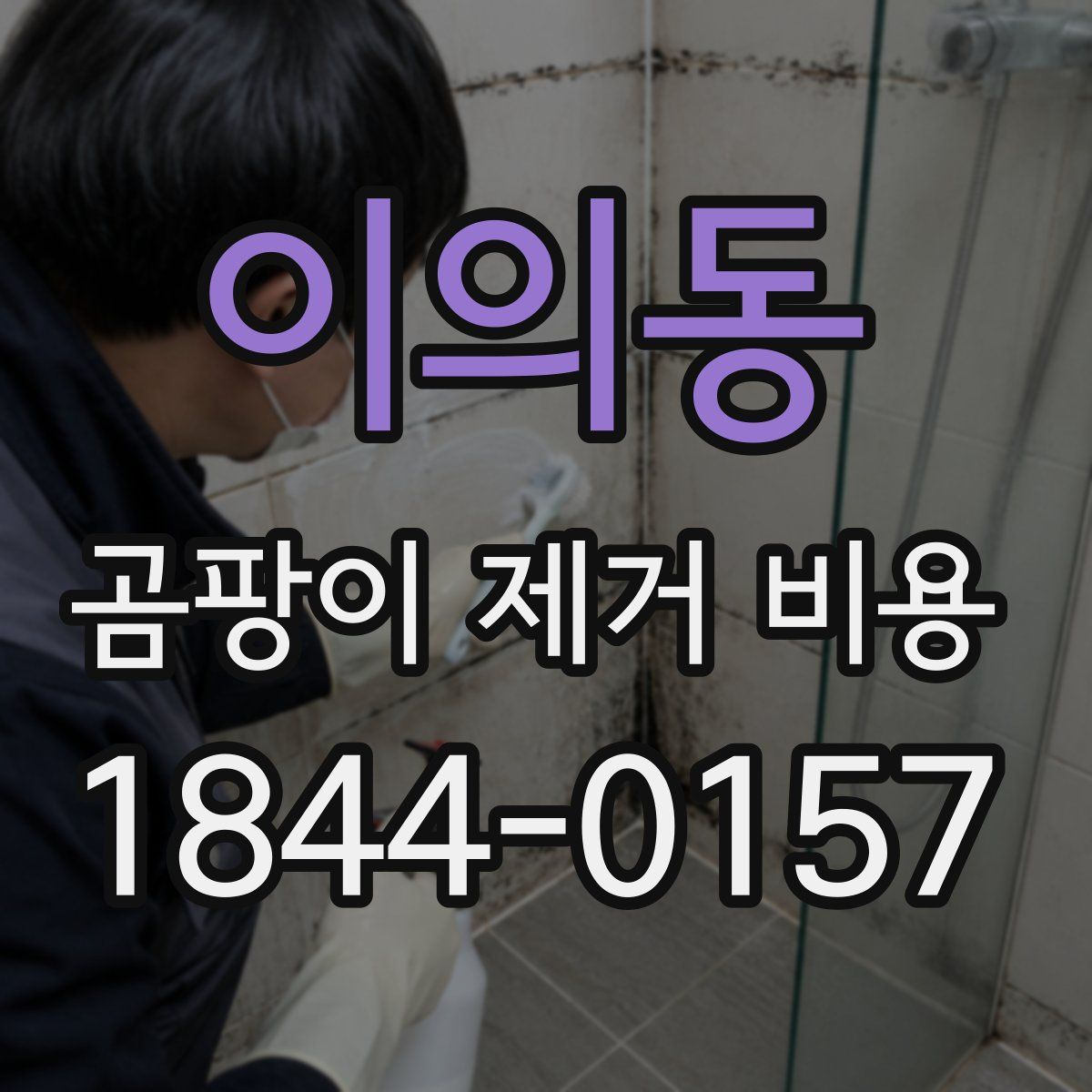 이의동 곰팡이 제거 비용