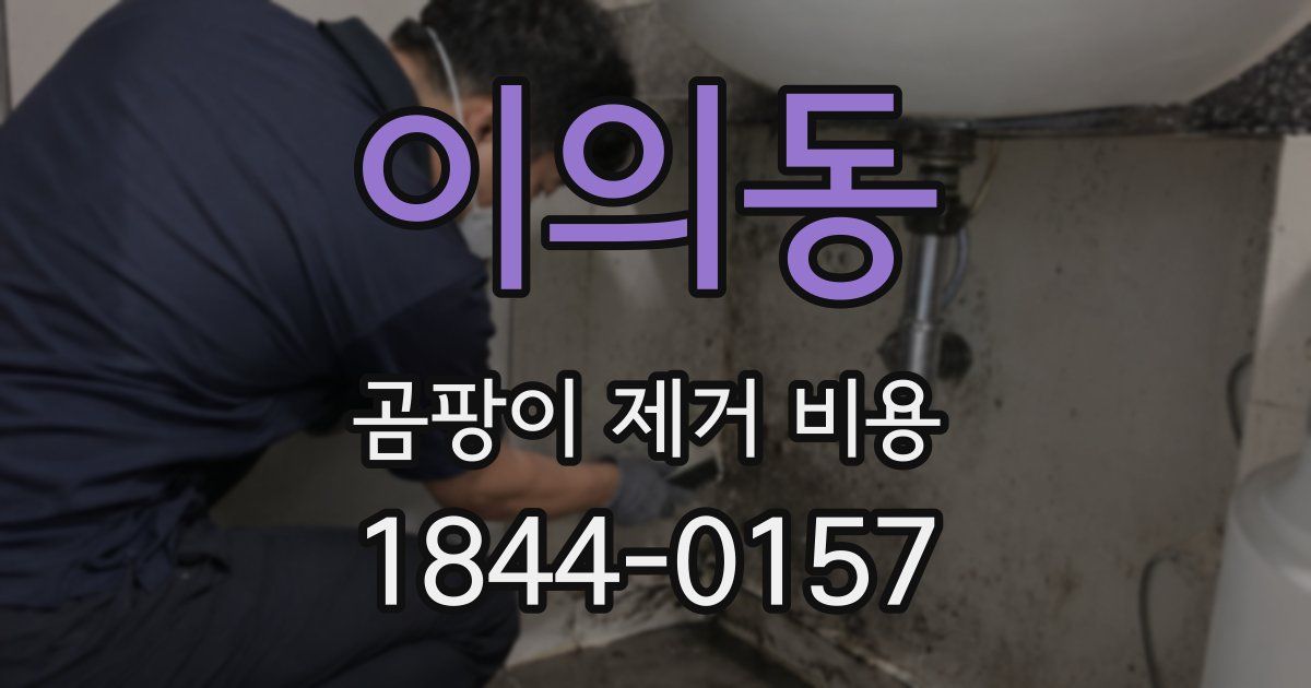 이의동 곰팡이 제거 비용