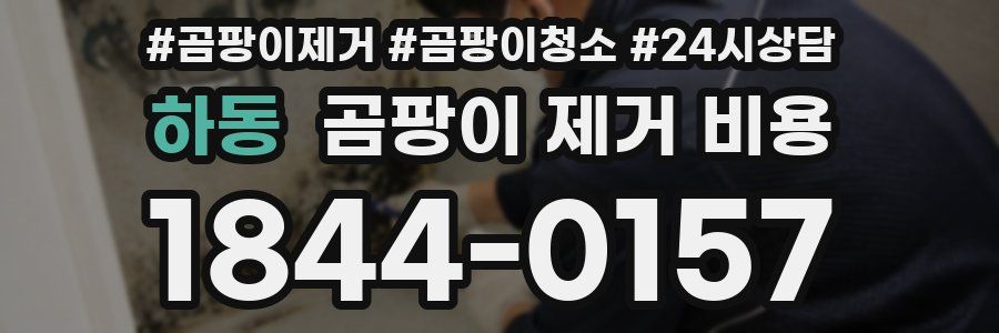 하동 곰팡이 제거 비용