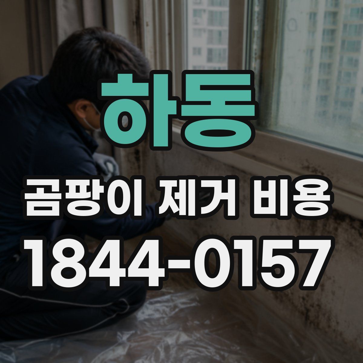 하동 곰팡이 제거 비용