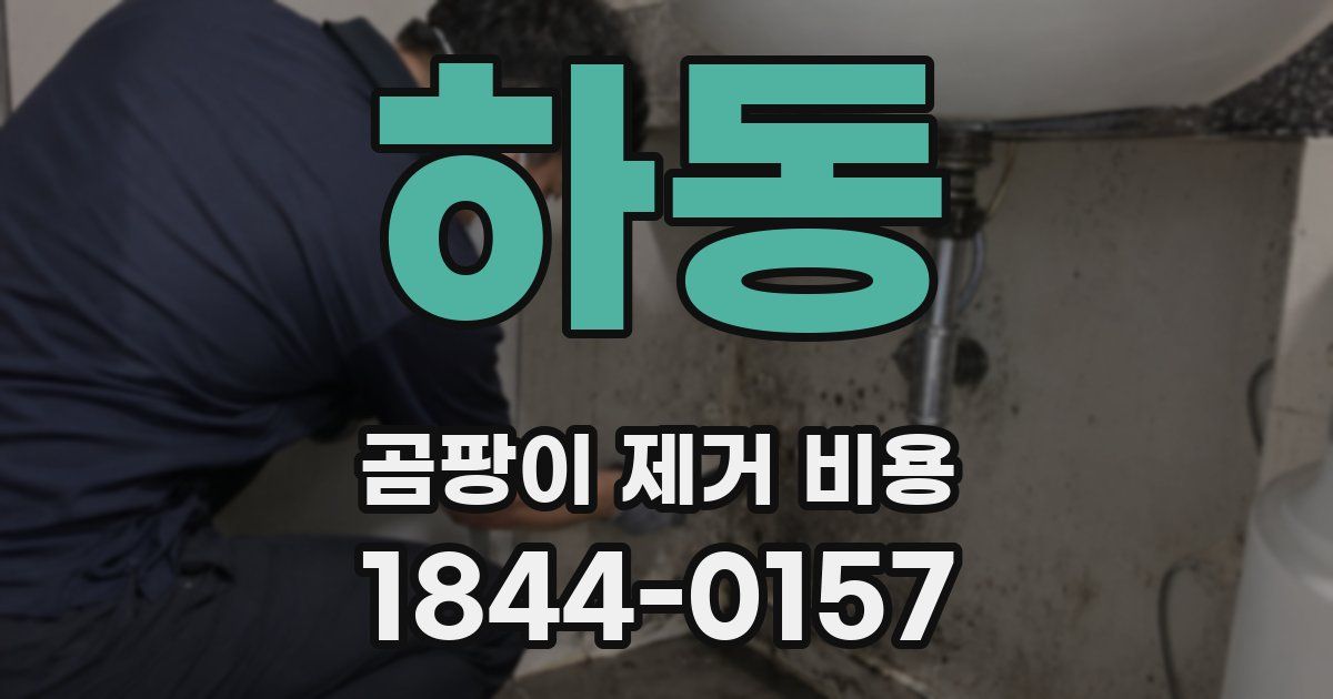 하동 곰팡이 제거 비용