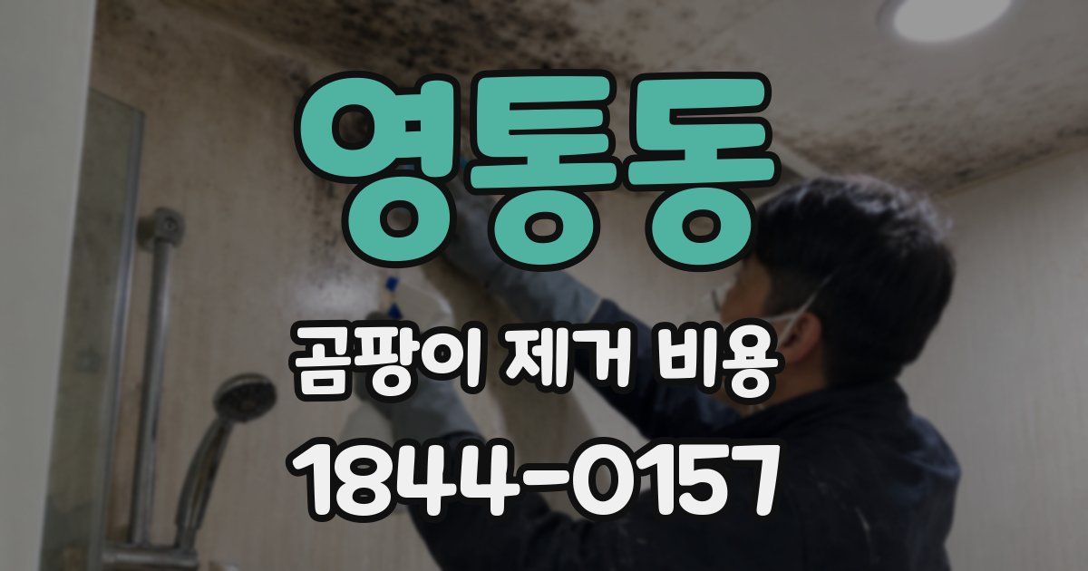 영통동 곰팡이 제거 비용