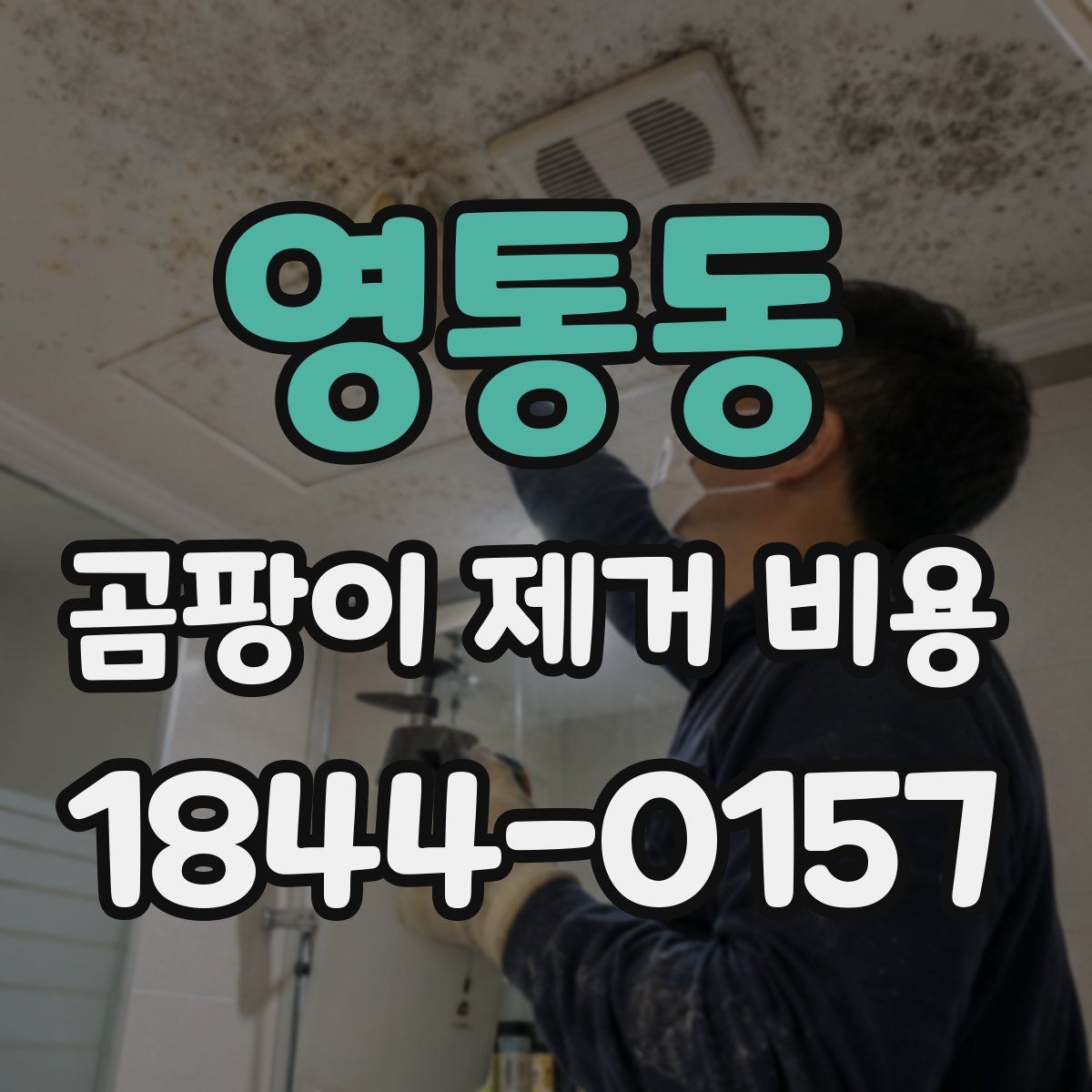 영통동 곰팡이 제거 비용