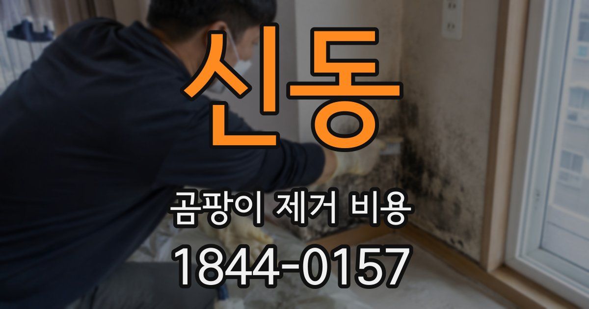 신동 곰팡이 제거 비용