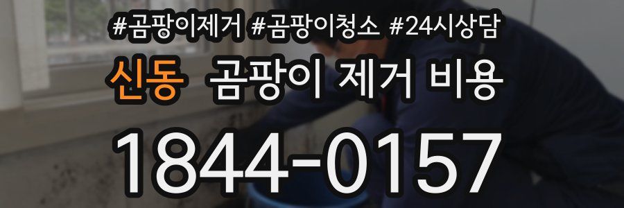 신동 곰팡이 제거 비용