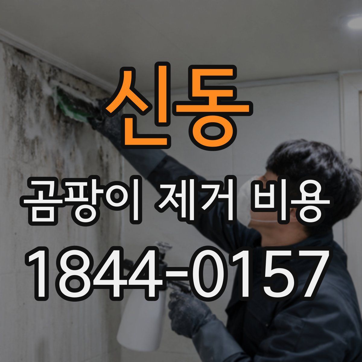 신동 곰팡이 제거 비용