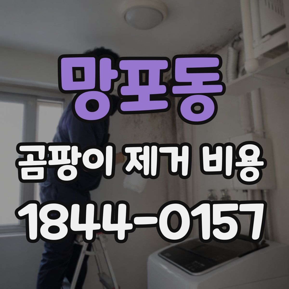 망포동 곰팡이 제거 비용