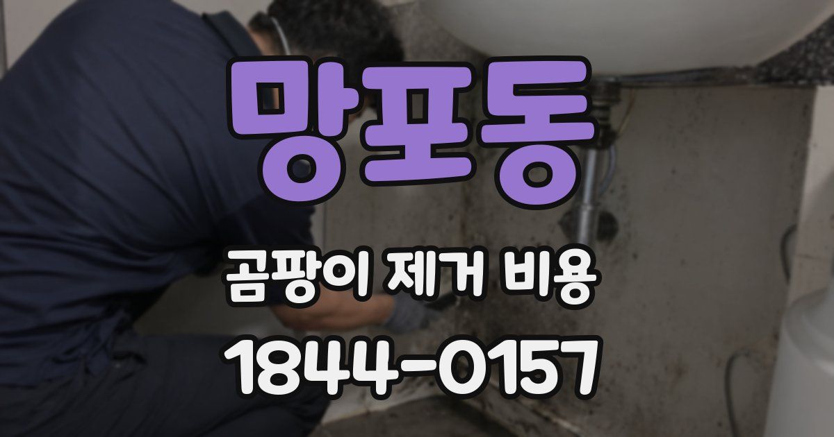 망포동 곰팡이 제거 비용