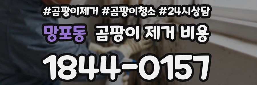 망포동 곰팡이 제거 비용