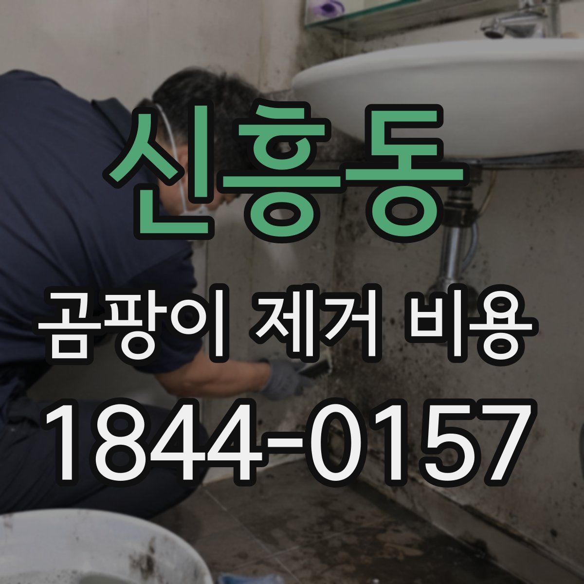 신흥동 곰팡이 제거 비용