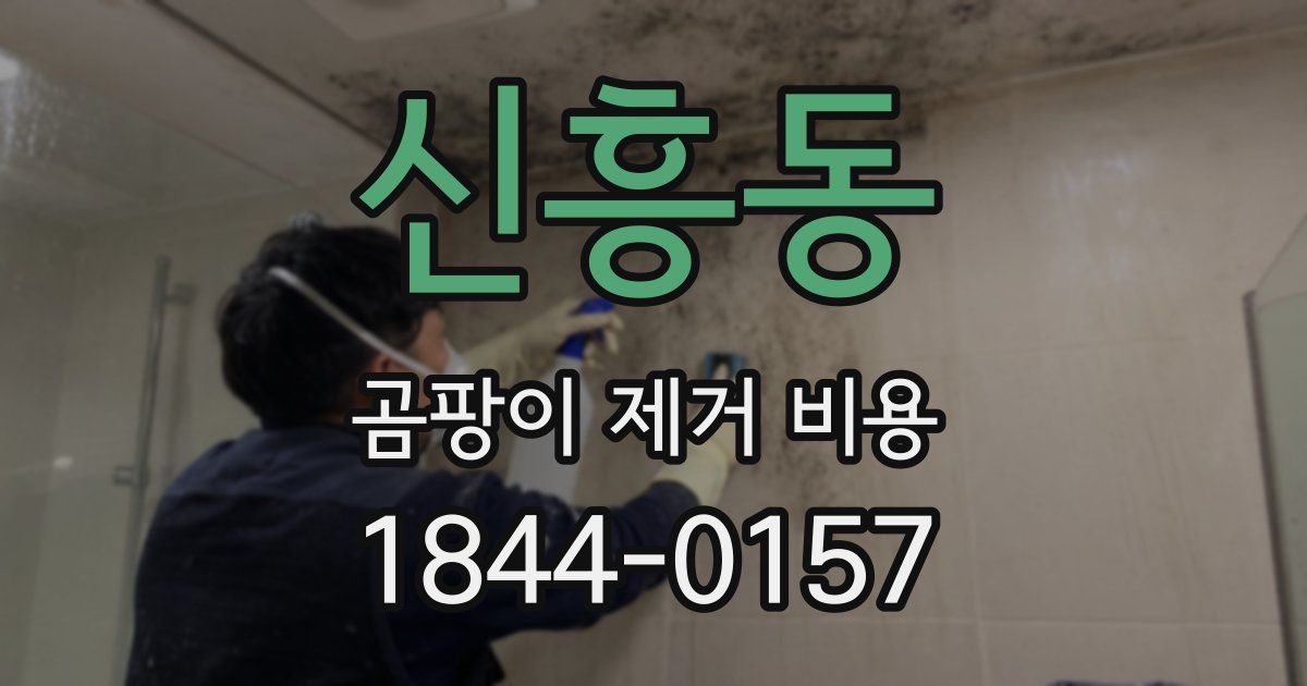 신흥동 곰팡이 제거 비용