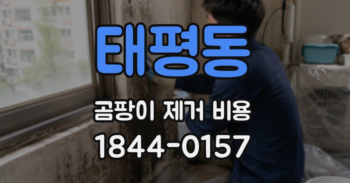 태평동 곰팡이 제거 비용