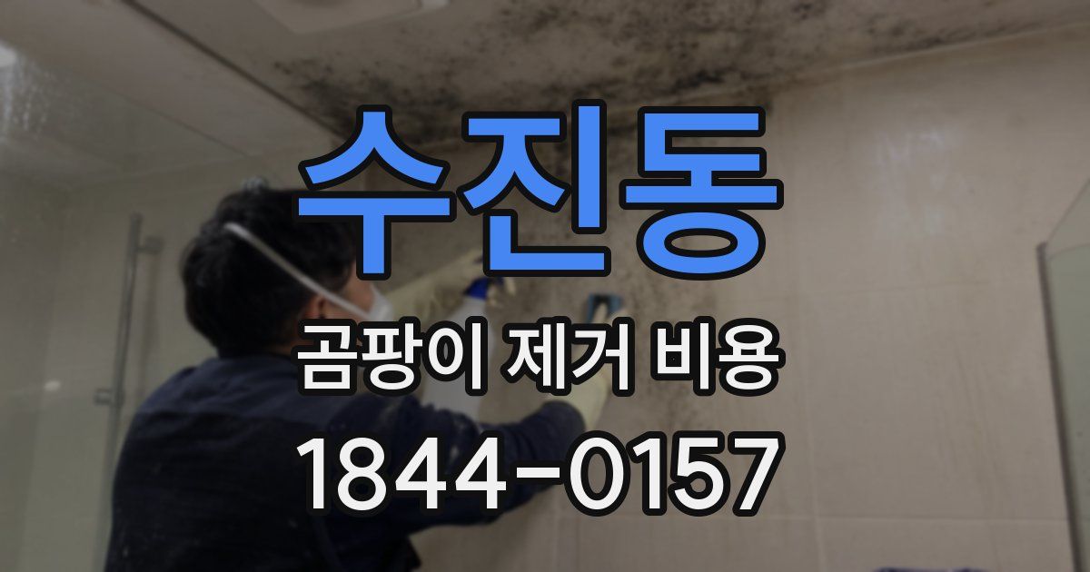 수진동 곰팡이 제거 비용