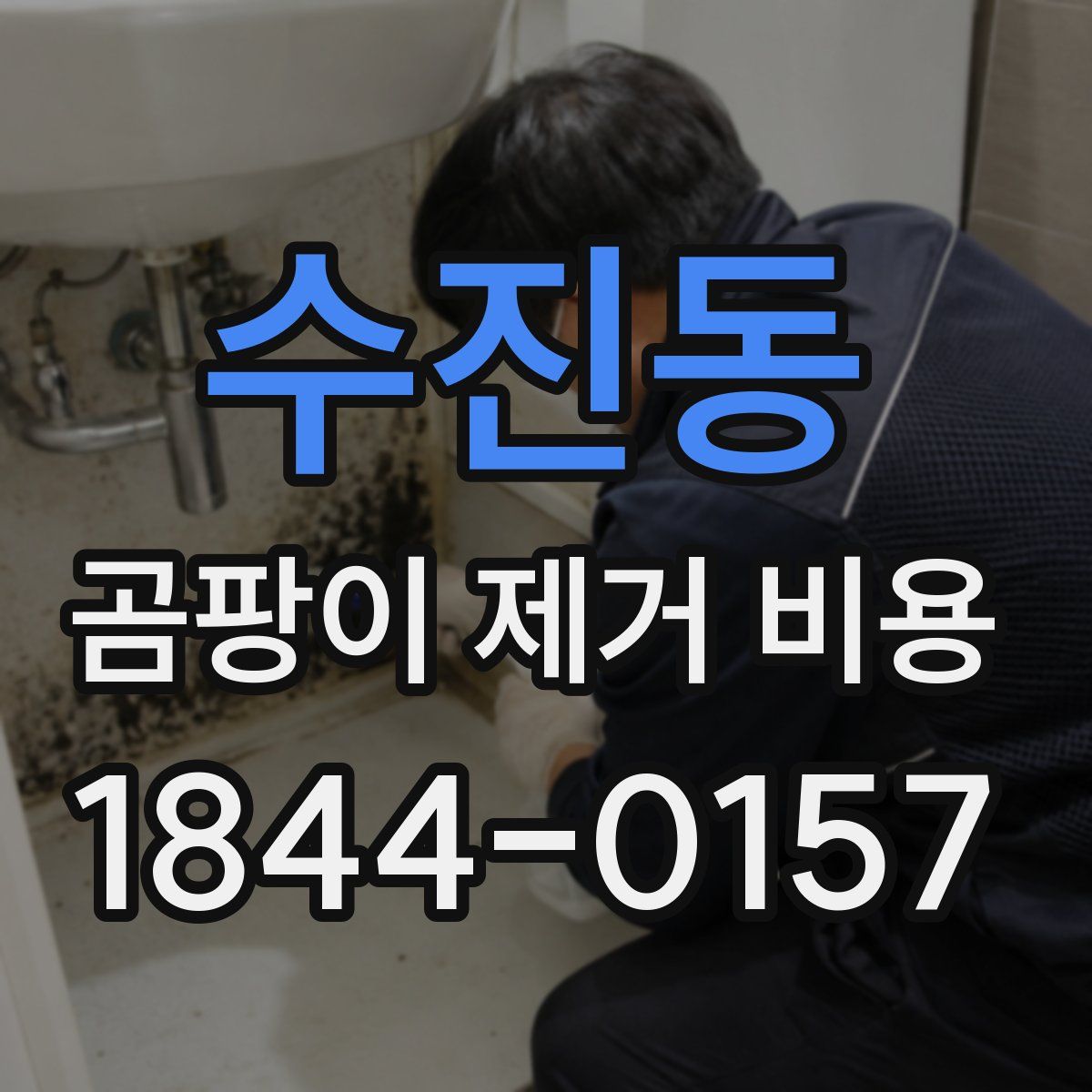 수진동 곰팡이 제거 비용