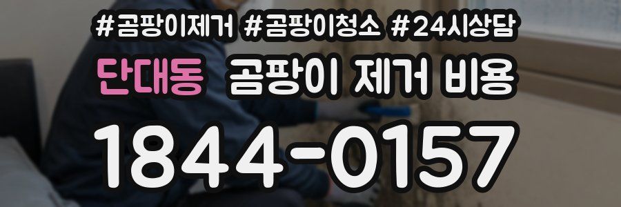 단대동 곰팡이 제거 비용