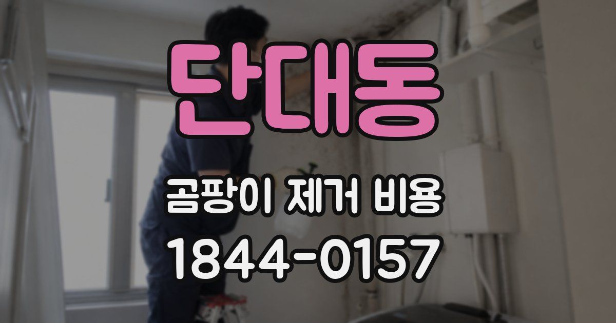 단대동 곰팡이 제거 비용