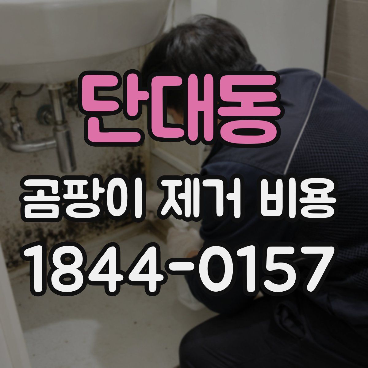 단대동 곰팡이 제거 비용