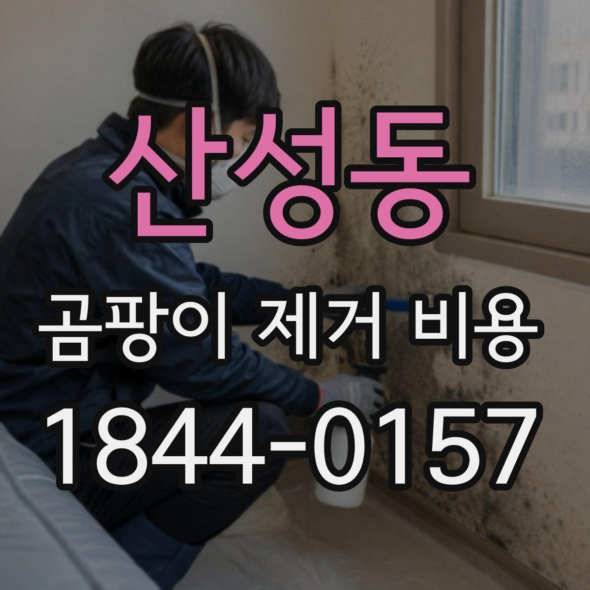 산성동 곰팡이 제거 비용