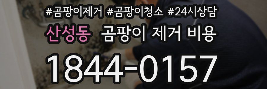 산성동 곰팡이 제거 비용