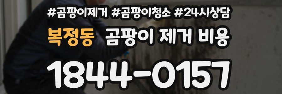 복정동 곰팡이 제거 비용